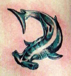 Hammerhead shark Tattoo
